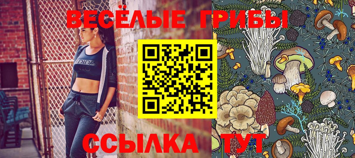 Сальск  Галлюциногенные грибы Psilocybe  Вход с VPN  Псилоцибиновые грибы ЛСД 